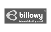 logo-billowy
